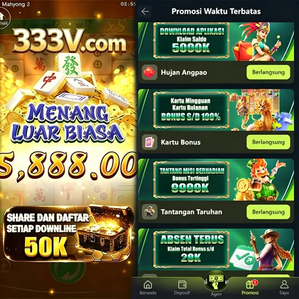 333V